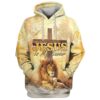 the hand of jesus lion and lamb hoodie jesus is my savior hoodies jesus hoodie christmas gift3586