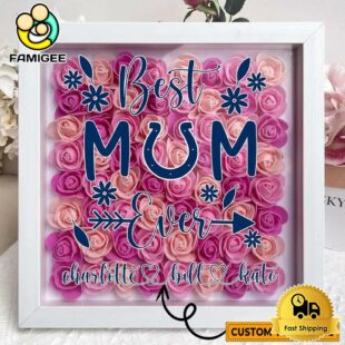 Indianapolis Colts Colors Square Custom Name Flower Shadow Box, Gift For Mother's Day