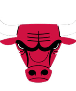 Chicago Bulls