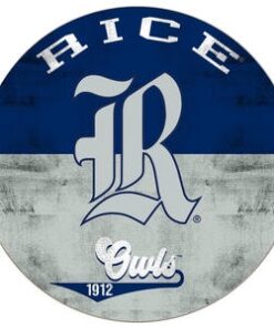Rice Owls
